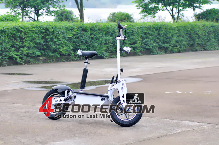 1000W Electric Scooter with 10inch Tyre,electric scooter for adults